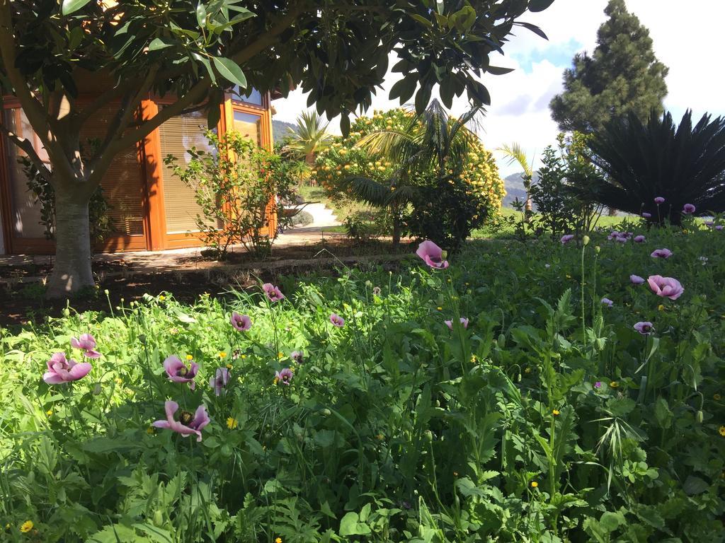 Finca Madrugada Santa Cruz de la Palma  Exterior photo